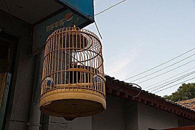 《幻日夜羽：湛海耀光》最新角色系统情报 11月16日多平台发售